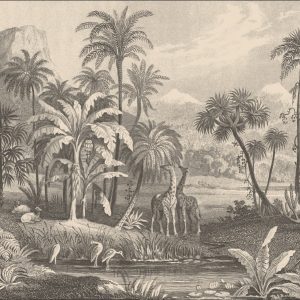 Afrique-02