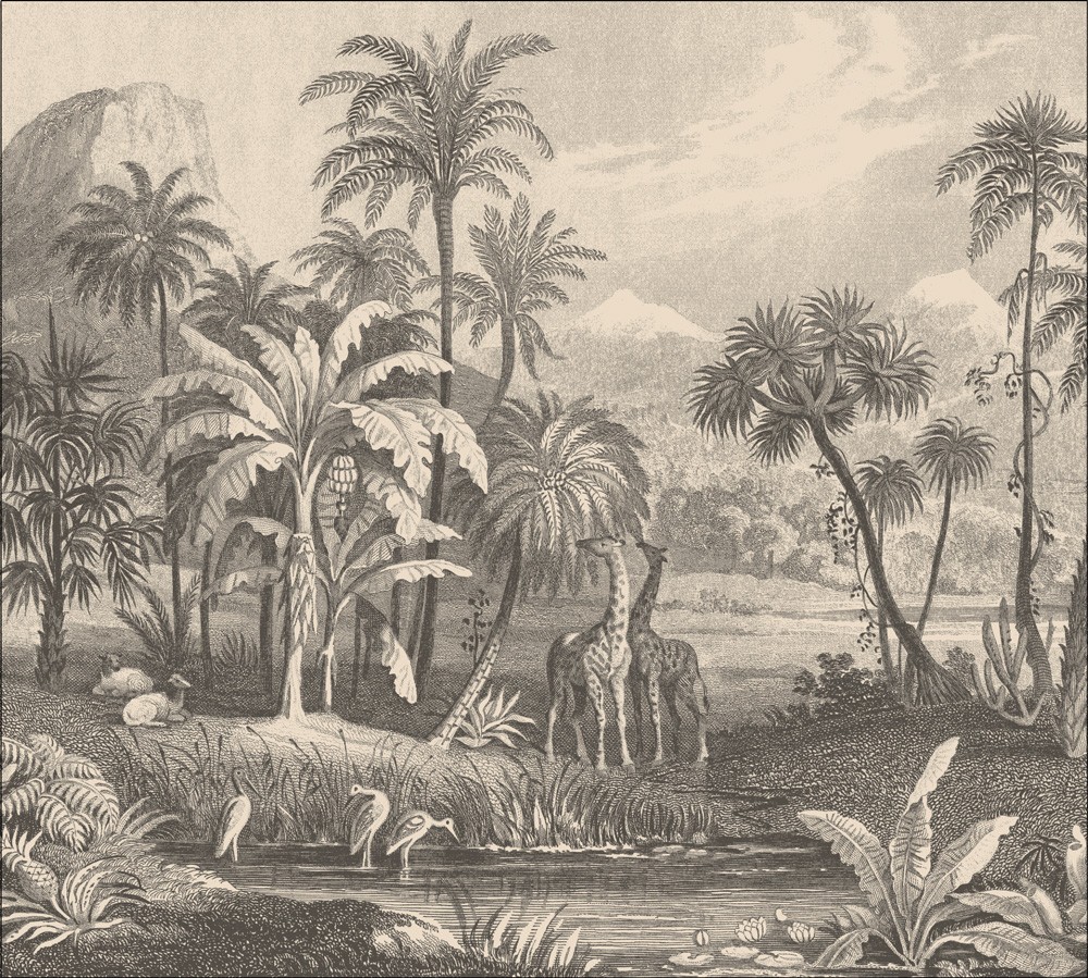 Afrique-02