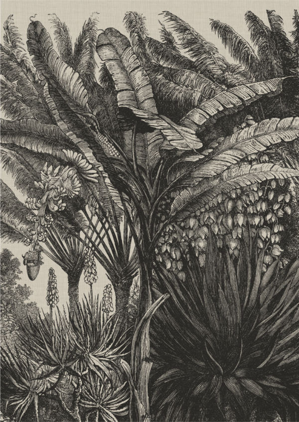 Coastal Palm Charcoal - Type 5 | Strethed Canvas | Printed Panel | Grafico Melbourne