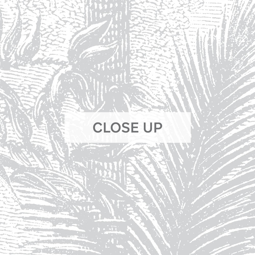 Animal Jungle Fiesta - Light Grey-02