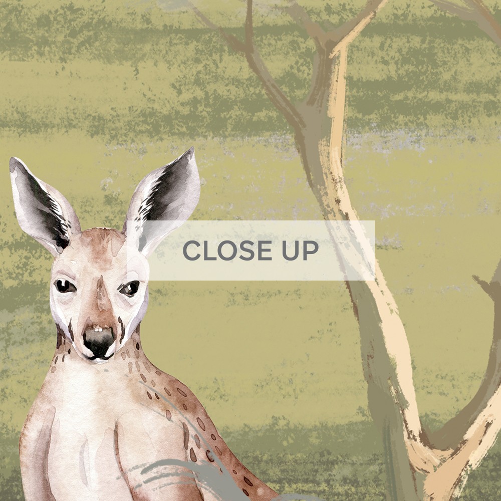 Forest Mural Australian Animal Wallpaper - Grafico Walls Melbourne Australia