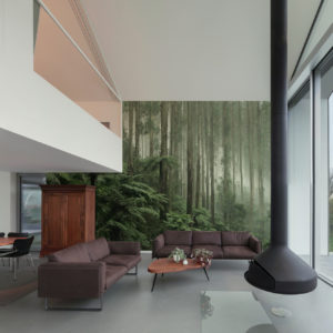 Australian Rainforest Wallpaper | Grafico Melbourne