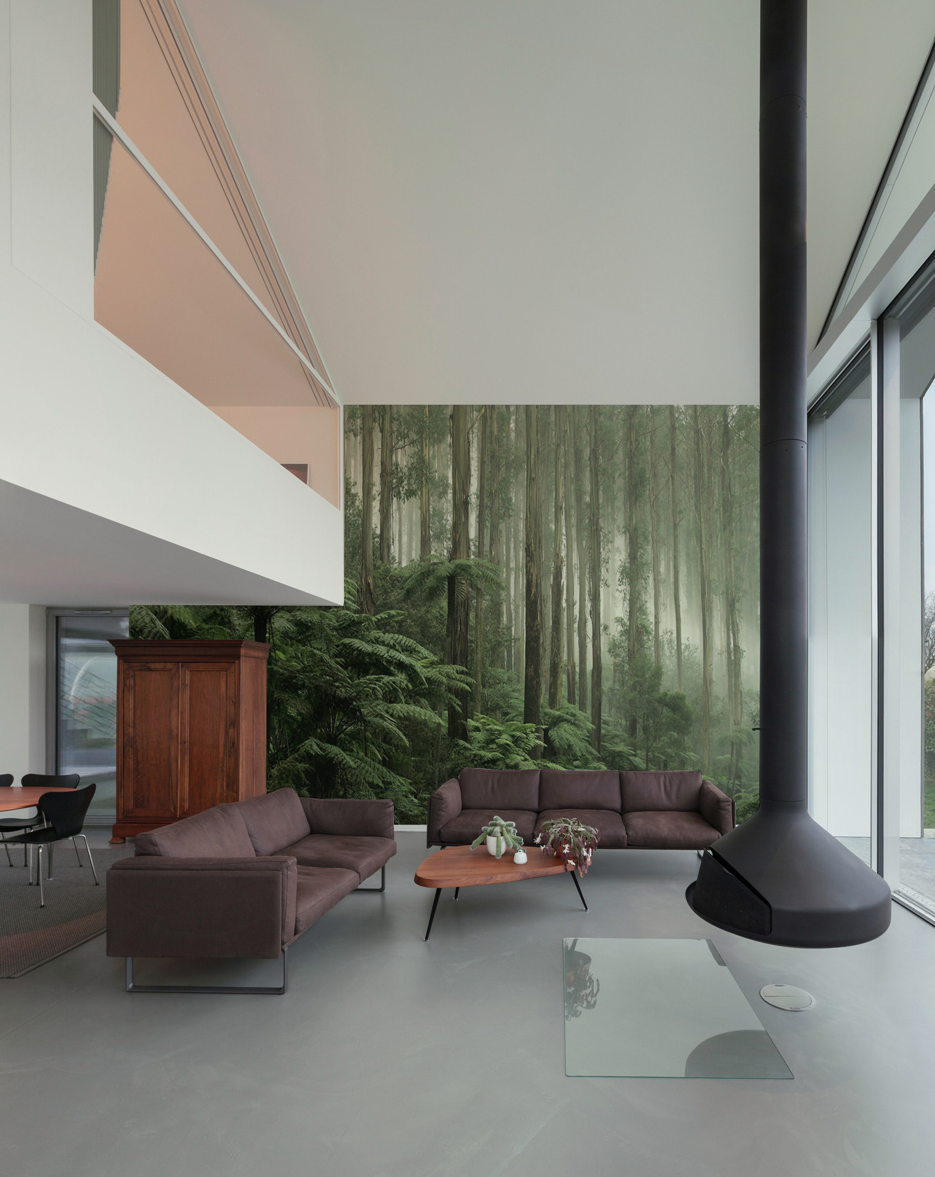 Australian Rainforest Wallpaper | Grafico Melbourne