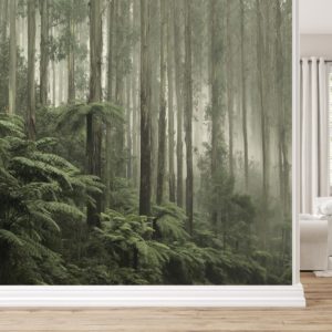 Australian Rainforest Wallpaper | Grafico Melbourne