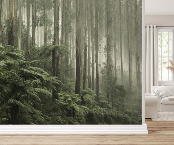 Australian Rainforest Wallpaper | Grafico Melbourne