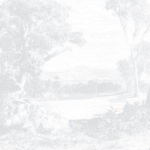 Australian-Farm-Land---Light-Grey_artwork-