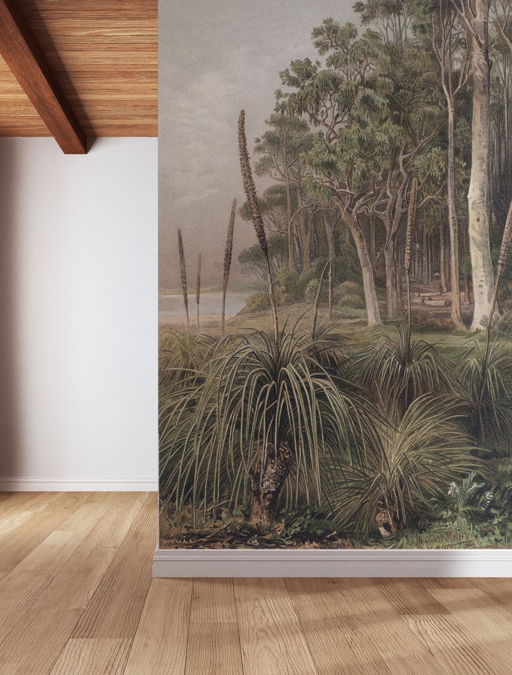 Australian Grass Trees | WALLPAPER