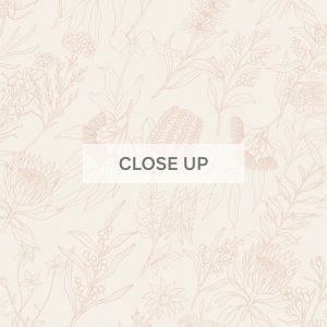 AustralianNativeOutline-Blush_CloseUp