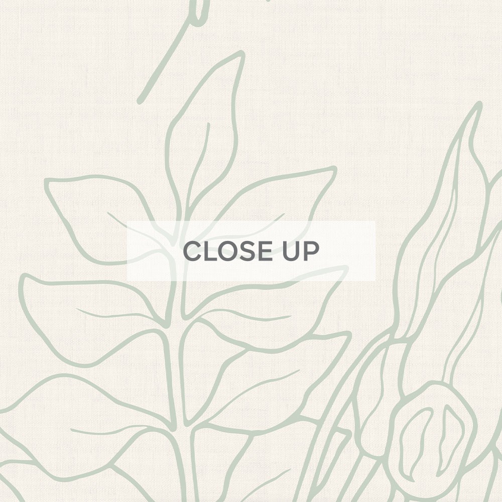 AustralianNativeOutline-SageGreen-01