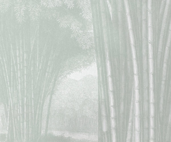 Bamboo Forest - Light Green Wallpaper | Grafico Melbourne