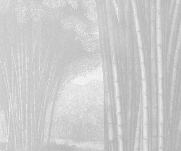 Bamboo Forest - Light Grey Wallpaper | Grafico Melbourne