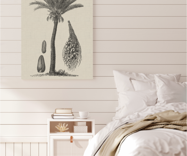 Coastal Palm Charcoal - Type 2 | Print | Canvas or Printed Panel | Grafico Melbourne