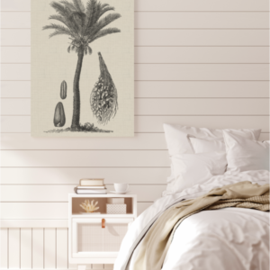 Coastal Palm Charcoal - Type 2 | Print | Canvas or Printed Panel | Grafico Melbourne