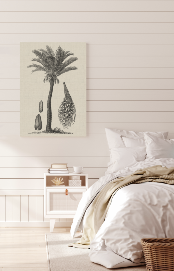 Coastal Palm Charcoal - Type 2 | Print | Canvas or Printed Panel | Grafico Melbourne