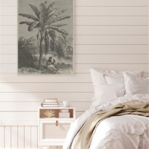 Coastal Palm Charcoal - Type 4 | Strethed Canvas | Printed Panel | Grafico Melbourne