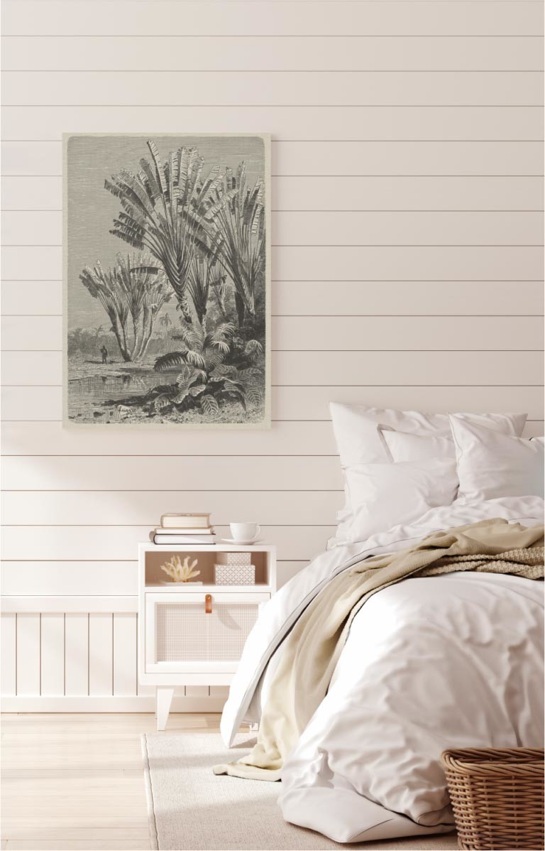 Coastal Palm Charcoal - Type 5 | STRETCHED CANVAS