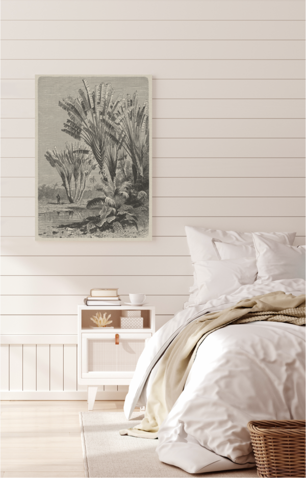 Coastal Palm Charcoal - Type 5 | Strethed Canvas | Printed Panel | Grafico Melbourne