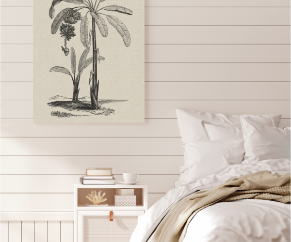 Coastal Palm Charcoal - Type 1 | Print | Canvas or Printed Panel | Grafico Melbourne