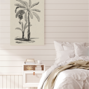 Coastal Palm Charcoal - Type 1 | Print | Canvas or Printed Panel | Grafico Melbourne