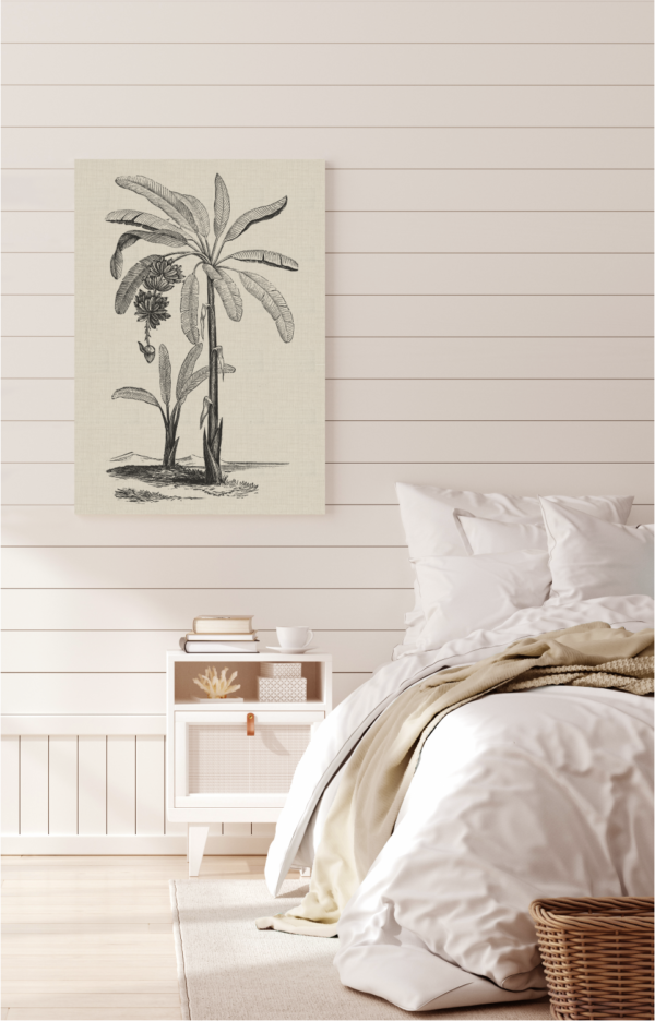 Coastal Palm Charcoal - Type 1 | CANVAS