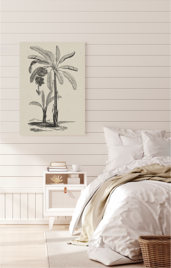 Coastal Palm Charcoal - Type 1 | Print | Canvas or Printed Panel | Grafico Melbourne