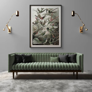 Birdlife Lithograph - Print, Stretch Canvas or Printel Panel | Grafico Melbourne