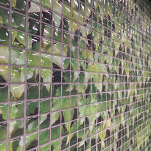 Boston Ivy | Custom Print Resin Tiles | Grafico Melbourne