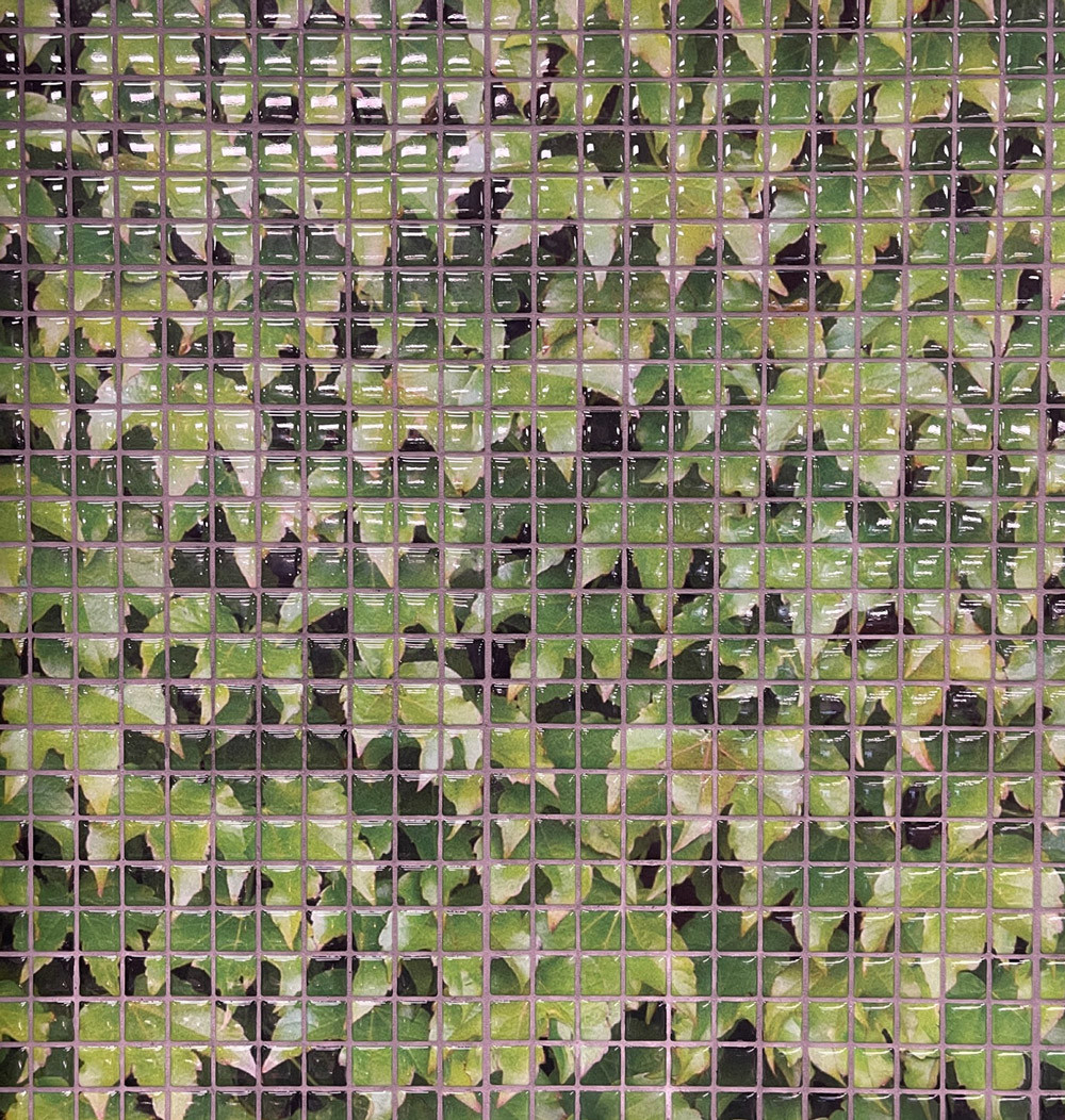 Boston Ivy | Custom Print Resin Tiles | Grafico Melbourne