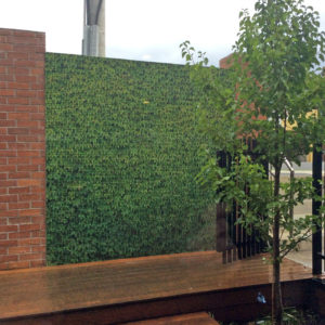 Boston Ivy | Custom Print Resin Tiles | Grafico Melbourne