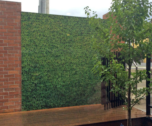 Boston Ivy | Custom Print Resin Tiles | Grafico Melbourne