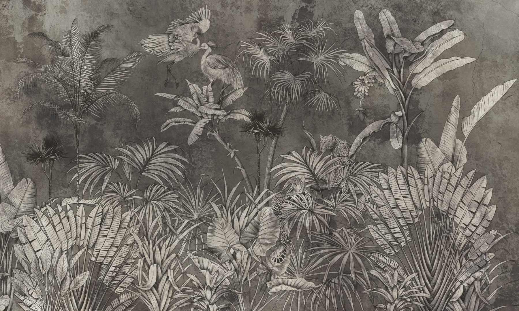 Charcoal-JungleFresco-1