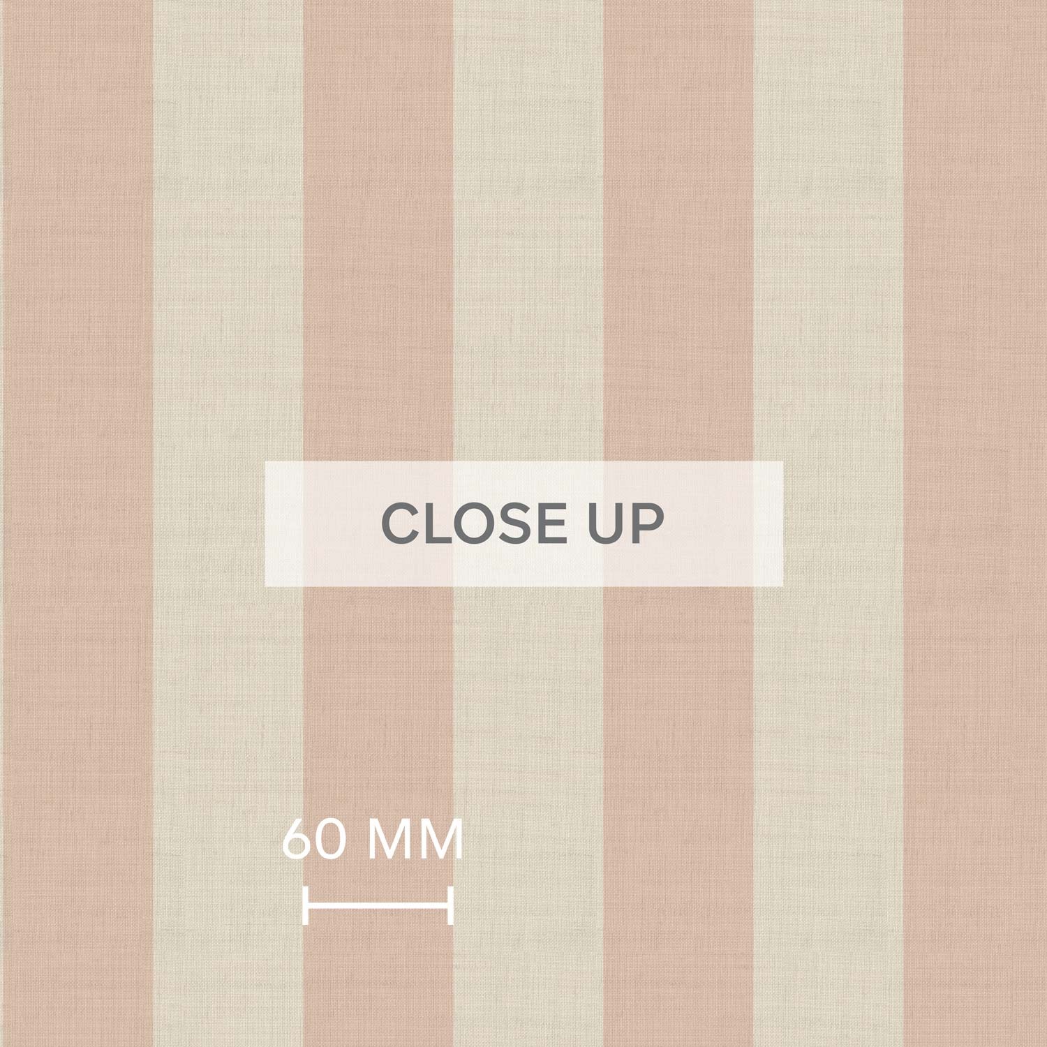 CloseUp-Blush