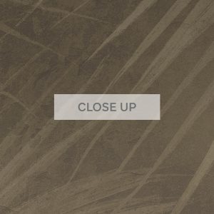 CloseUp-Gold