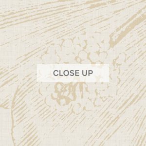 CloseUp-Template-(2)