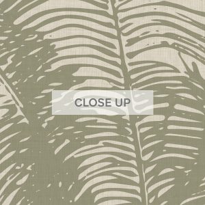 CloseUp-Template-(2)