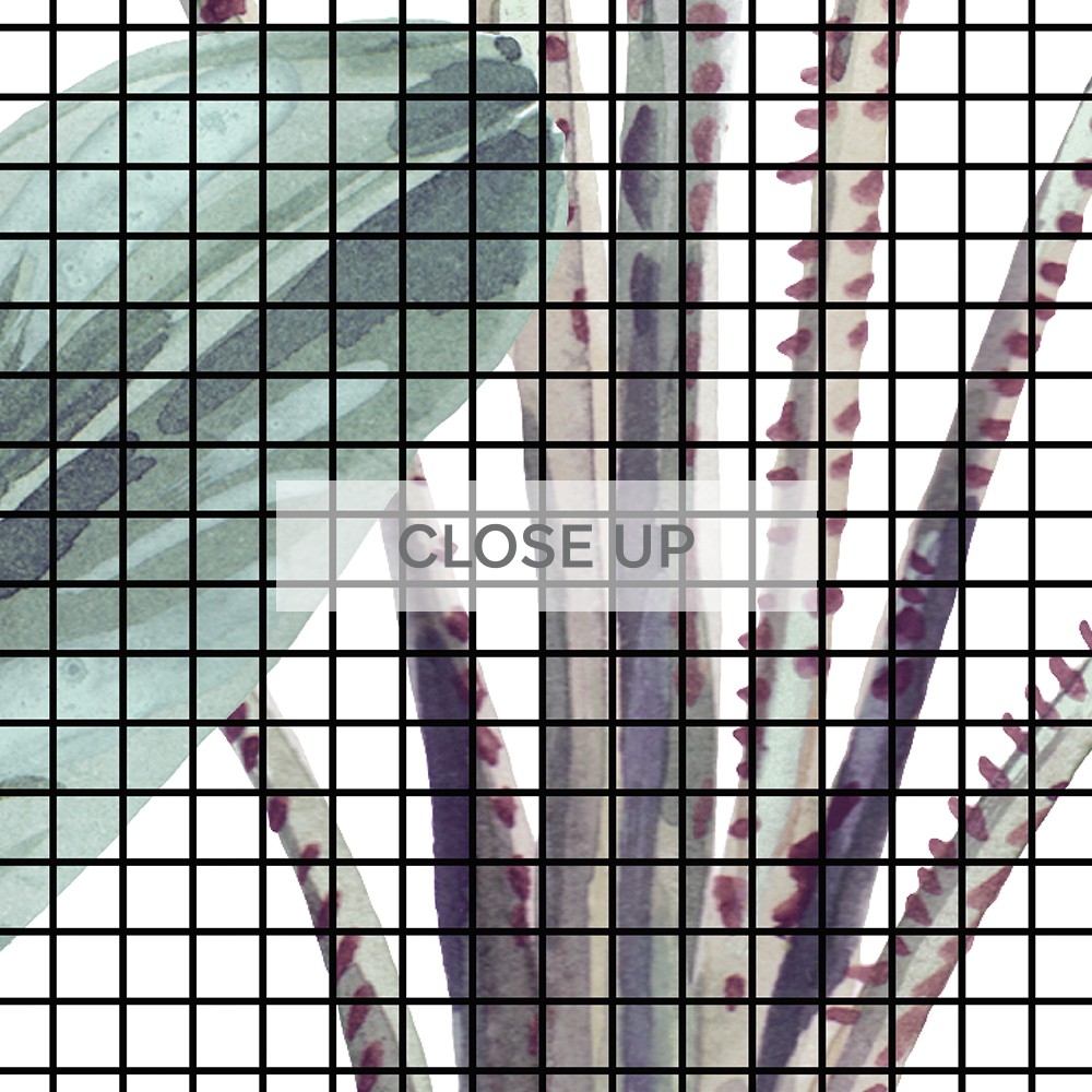CloseUp-Template-(2)