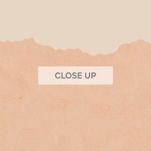 CloseUp-TornPeach