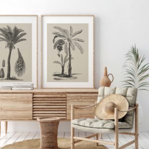 Coastal Palm Charcoal - Type 1 | Print | Canvas or Printed Panel | Grafico Melbourne