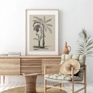 Coastal Palm Charcoal - Type 1 | Print | Canvas or Printed Panel | Grafico Melbourne