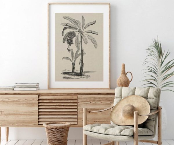 Coastal Palm Charcoal - Type 1 | Print | Canvas or Printed Panel | Grafico Melbourne