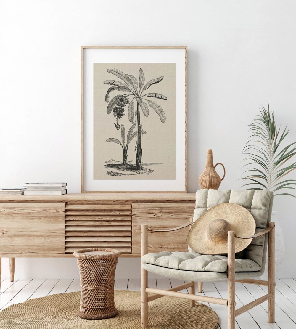 Coastal Palm Charcoal - Type 1 | PRINT | CANVAS