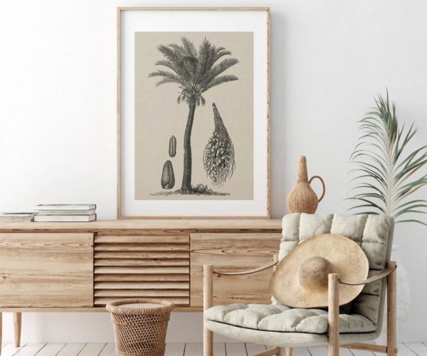 Coastal Palm Charcoal - Type 2 | Print | Canvas or Printed Panel | Grafico Melbourne