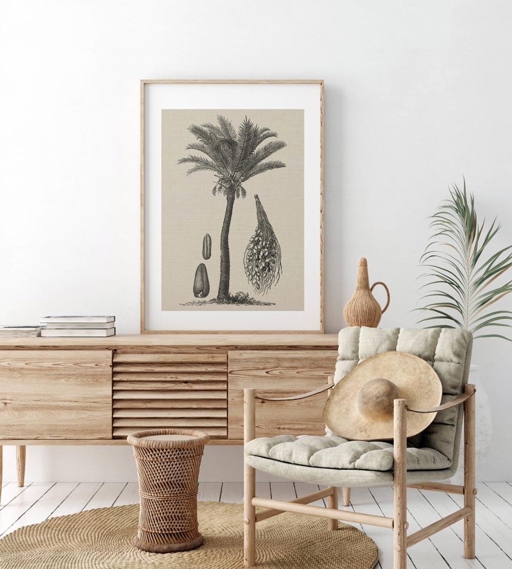 Coastal Palm Charcoal - Type 2 | PRINT | CANVAS