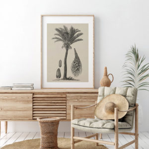 Coastal Palm Charcoal - Type 2 | Print | Canvas or Printed Panel | Grafico Melbourne