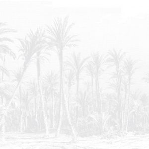 CoastalPalm-LightGrey-01