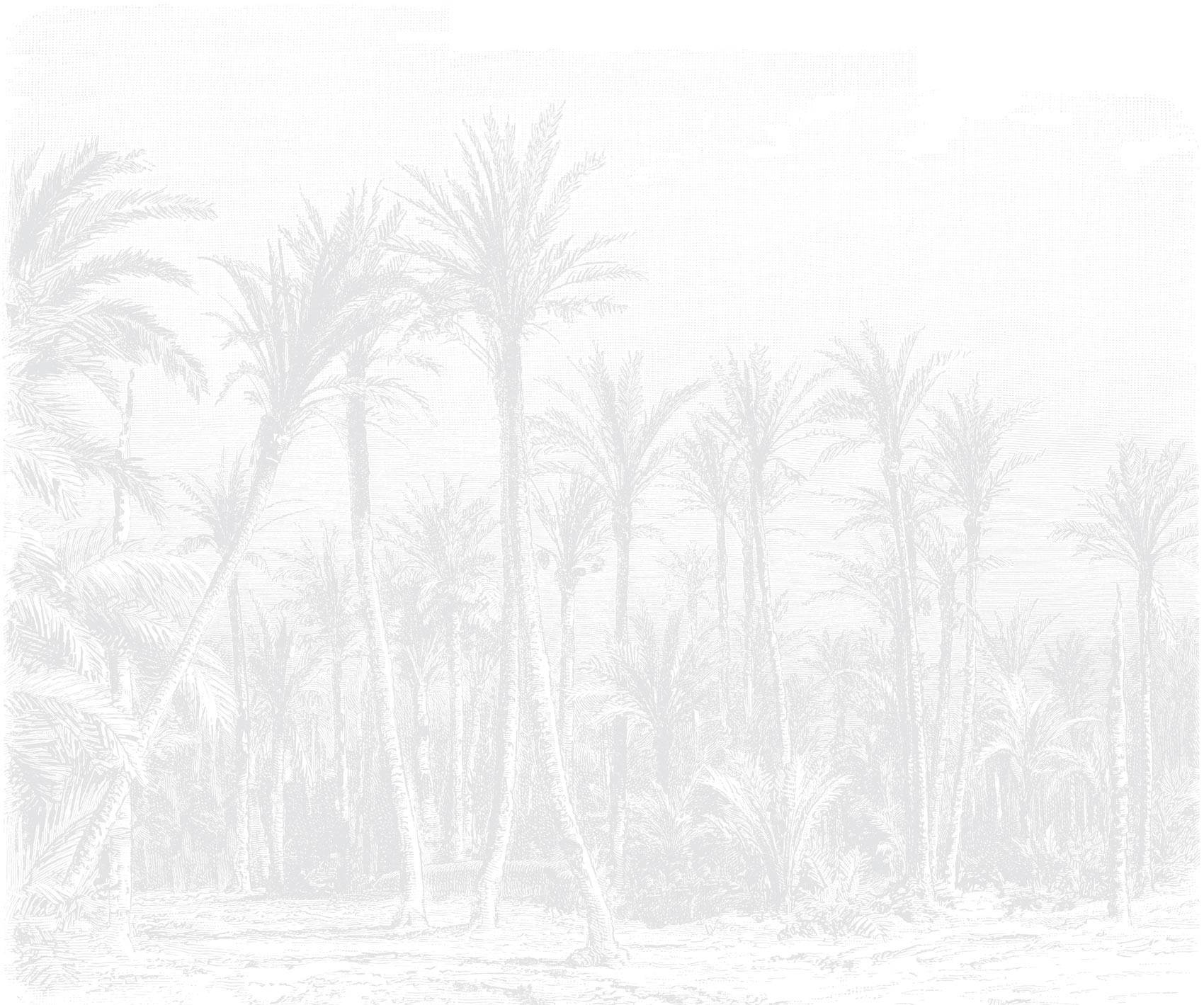 CoastalPalm-LightGrey-01