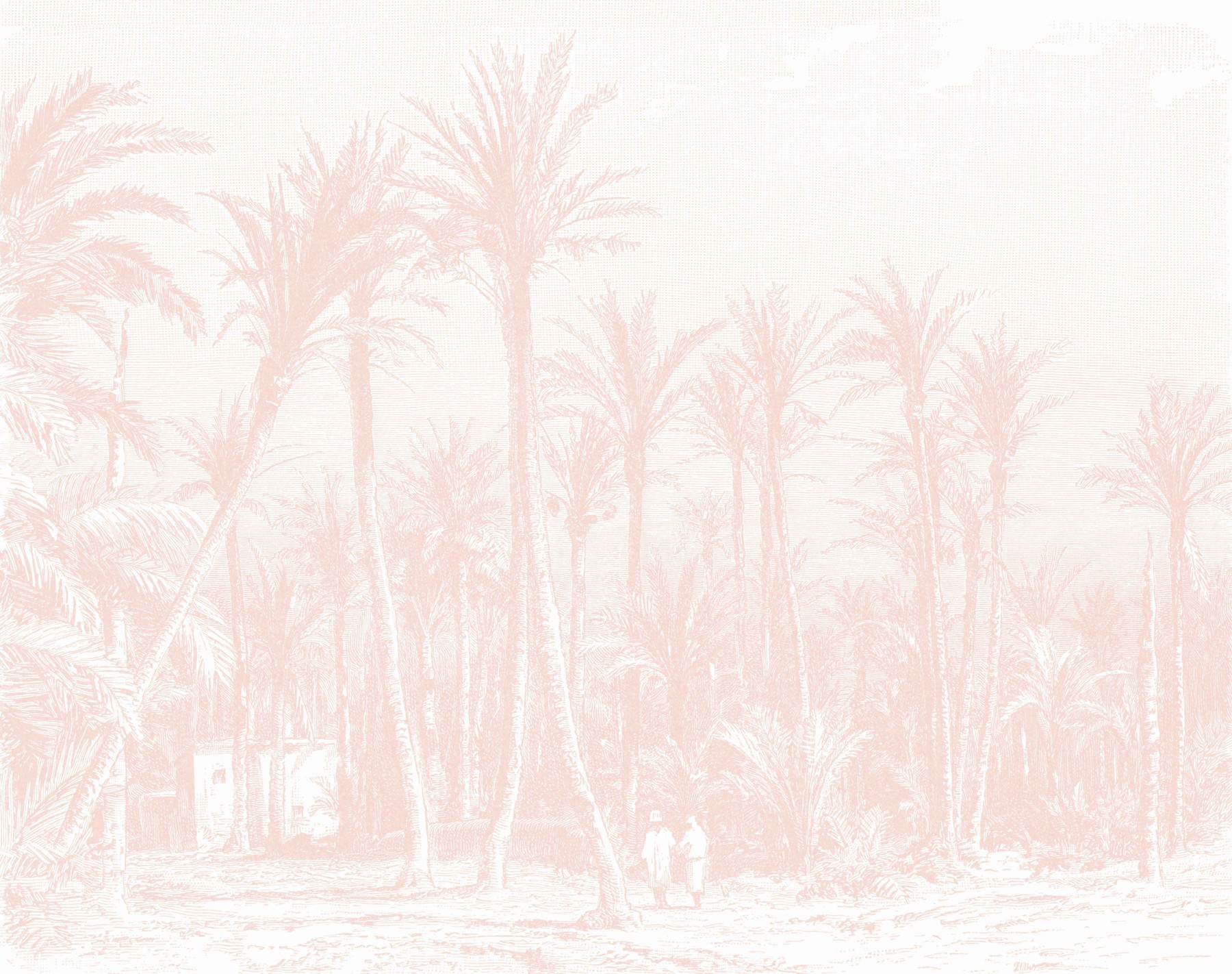 Coastal Palm - Blush Wallpaper | Grafico Melbourne