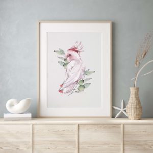 Cockatoo - Australis- Print Series | Grafico Melbourne