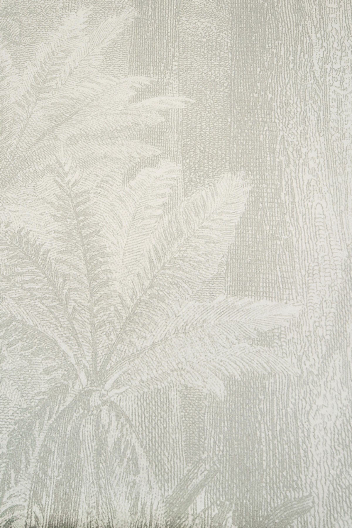 Etched Australian Rainforest Wallpaper