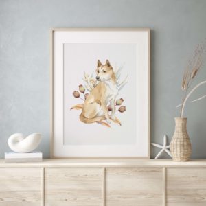 Dingo Gumnuts - Australis- Print Series | Grafico Melbourne